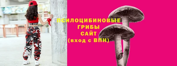 кокс Покачи