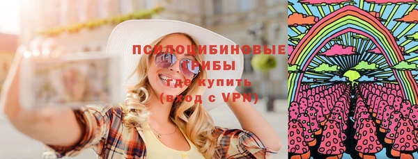 молекула духа Переславль-Залесский