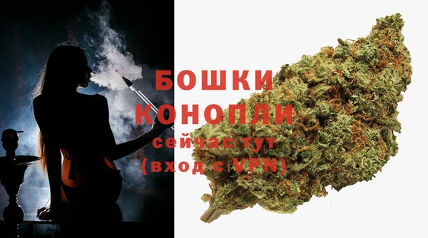 молекула духа Переславль-Залесский